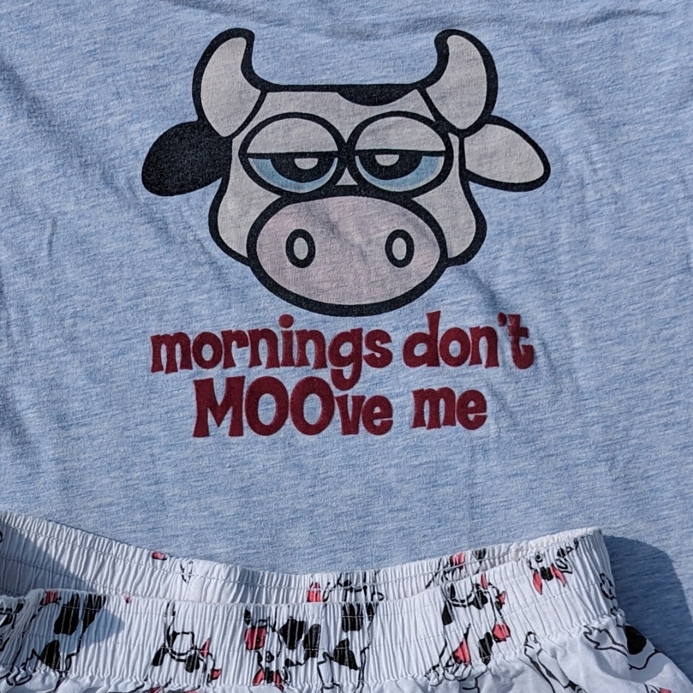 Aeropostale "Mornings Don't Moove Me" Sleep Shirt + Free Cow Shorts